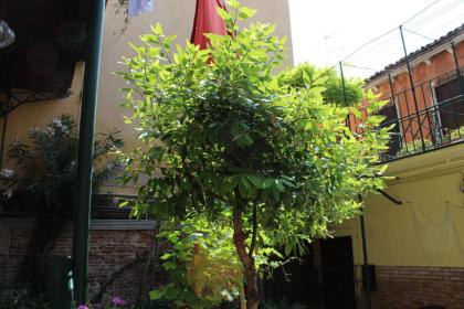 San Giacomo Apartment - image 25