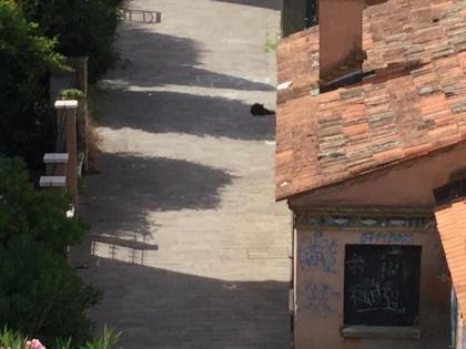 Casa Annalisa - image 22