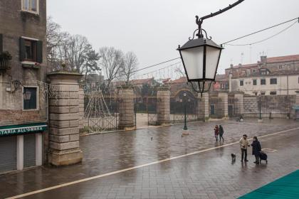 Biennale Giardini - image 23