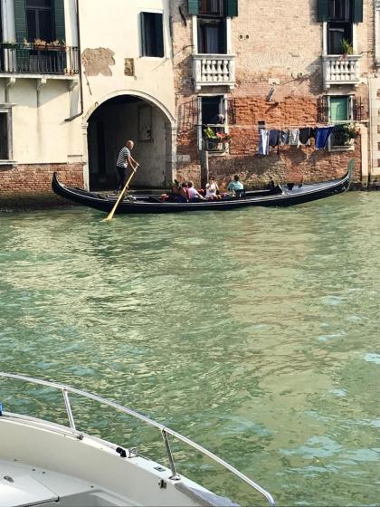 One bedroom appartement with city view and wifi at Venezia - image 22