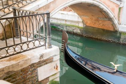 Venice in the house Venice 